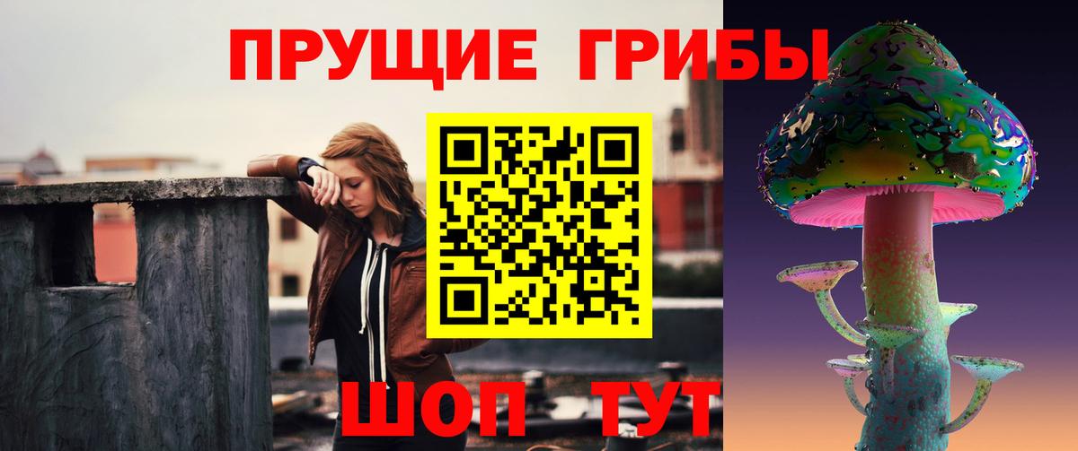Южноуральск  Галлюциногенные грибы мухоморы  Вход с VPN  Галлюциногенные грибы Psilocybe 